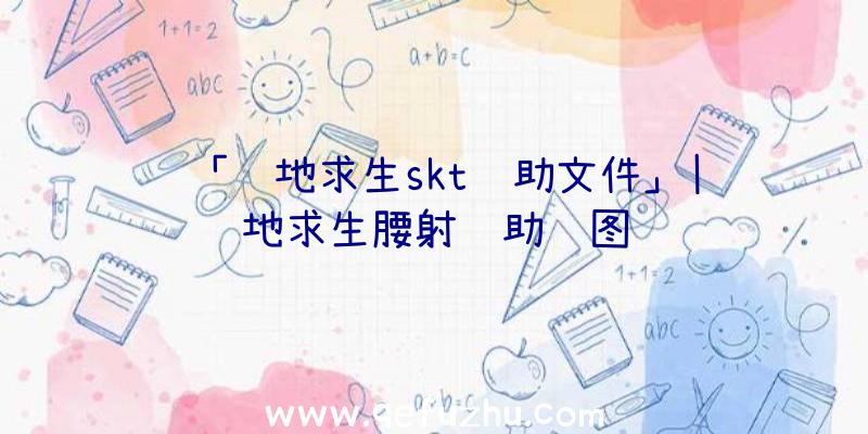 「绝地求生skt辅助文件」|绝地求生腰射辅助贴图